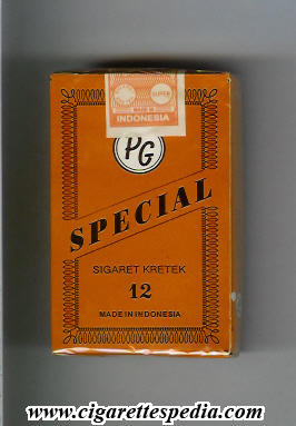 special pg ks 12 s diagonal special indonesia