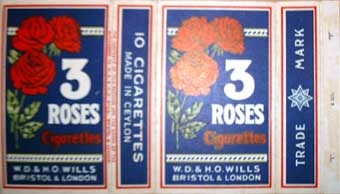 3 roses 03.jpg