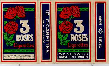 3 roses 02.jpg