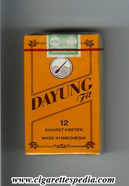 dayung fit ks 12 s indonesia