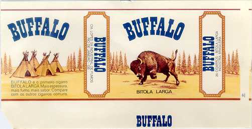 Buffalo 11.jpg