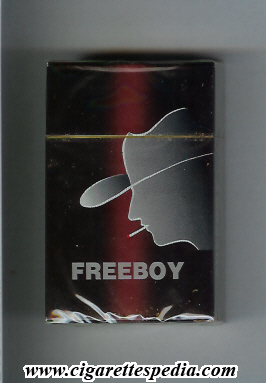 freeboy ks 20 h china