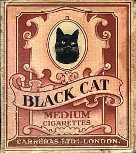Black cat 04.jpg
