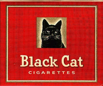 Black cat 06.jpg