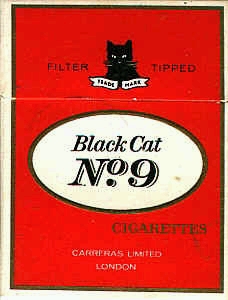 Black cat 08.jpg
