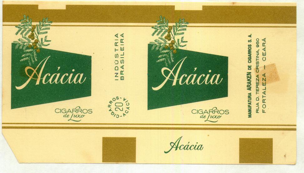 Acacia 01.jpg