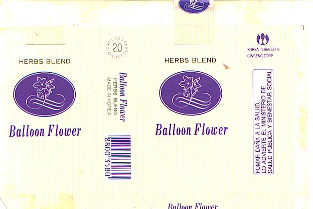 Balloon flower 01.jpg