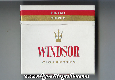 windsor indian version filter tipped s 20 b india