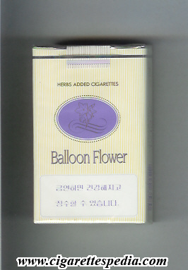 balloon flower ks 20 s south korea