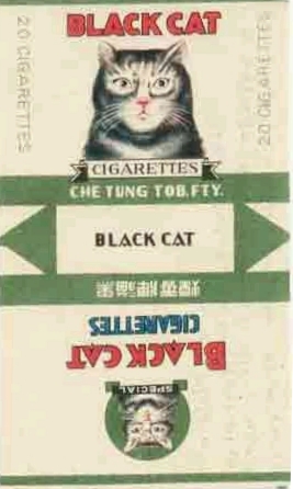 Black cat 18.jpg