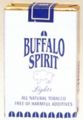 Buffalo spirit 03.jpg