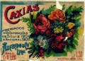 A flor das flores 03.jpg