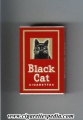 Black cat with a cat s 10 h red england.jpg