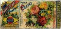 A flor das flores 01.jpg