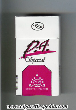 p a special 0 9l 12 h citarum indonesia