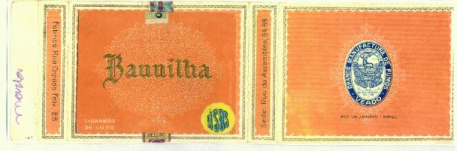Baunilha 03.jpg