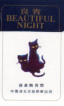 Beautiful night 01.JPG