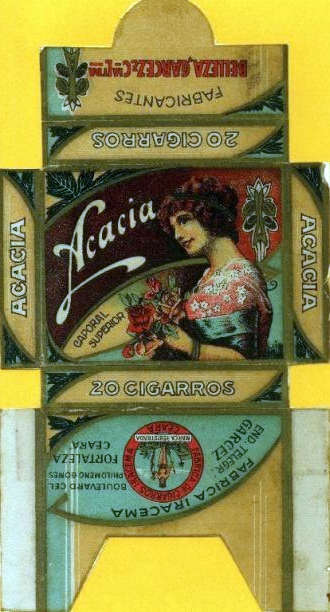 Acacia 03.jpg