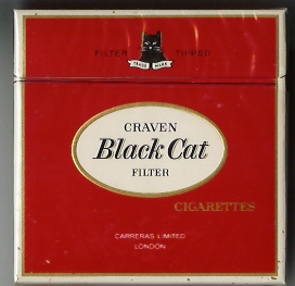 Black cat 08m.jpg