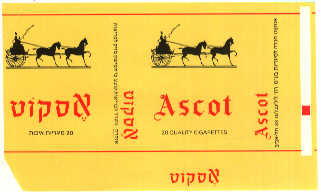 Ascot 01.jpg