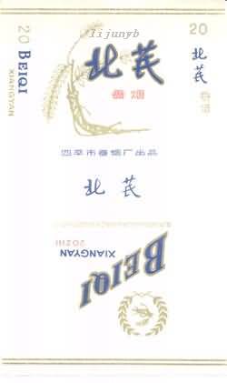 Beiqi 02.jpg