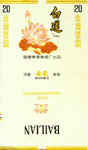 Bailian 09.jpg