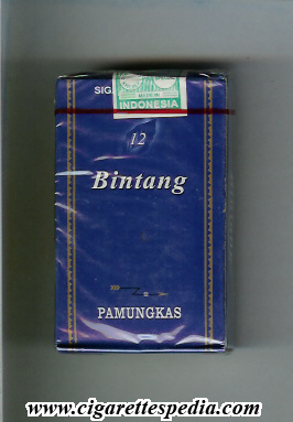 bintang pamungkas ks 12 s indonesia