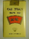 Caiyuan 02.jpg
