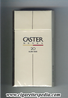 caster bevel l 20 h japan