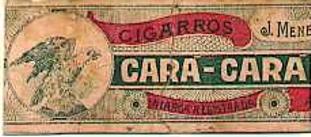Cara cara 02.jpg