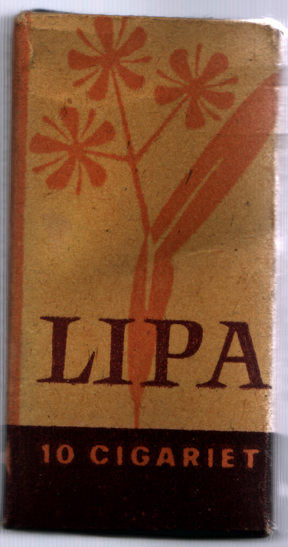 Lipa.jpg