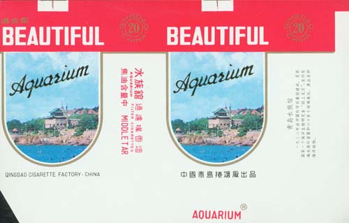 Beautiful 03 - shuizuguan.jpg