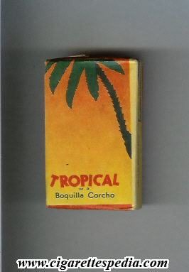 tropical chilean version s 10 s chile