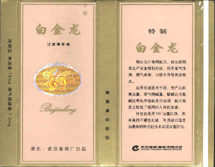 Baijinlong 12.jpg