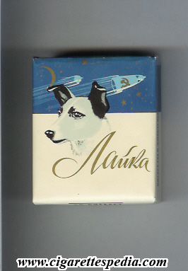 lajka t russian version s 20 s ussr russia