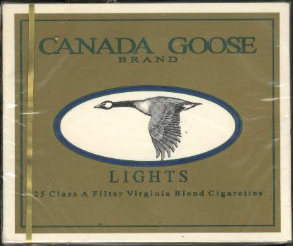 Canada goose ps25 02.jpg