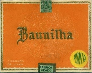 Baunilha 04.jpg