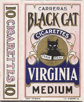 Black cat 01.jpg
