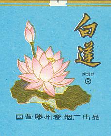 Bailian 07.JPG