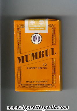 mumbul design 2 rnr ks 12 h indonesia