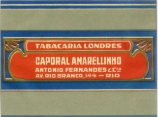 Caporal amarellinho 02.jpg