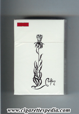 File:Carlton brazilian version collection design 2003 ks 20 h picture 1 brazil.jpg