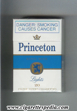 princeton south african version lights ks 20 h south africa