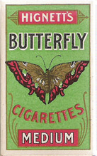 Butterfly 13.jpg