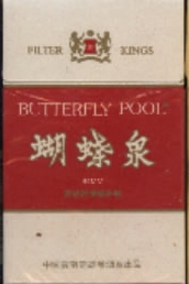 Butterfly pool 08.jpg