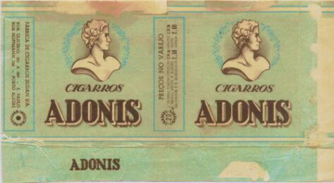 Adonis 02.jpg