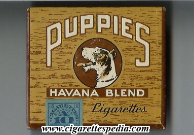 puppies havana blend s 10 b usa