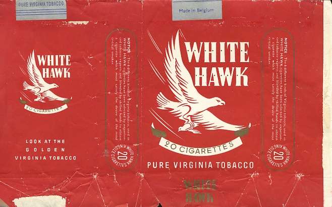 White hawk 01.jpg