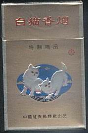 Baimao 08.jpg