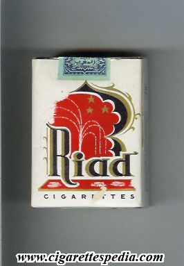 riad s 20 s morocco